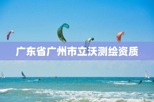 广东省广州市立沃测绘资质