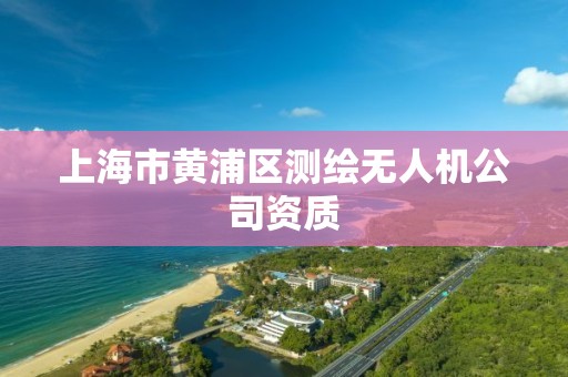 上海市黄浦区测绘无人机公司资质