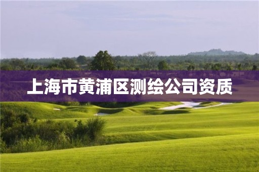 上海市黄浦区测绘公司资质 上海市黄浦区测绘公司资质