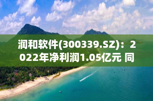 润和软件(300339.SZ)：2022年净利润1.05亿元 同比下降40.18%