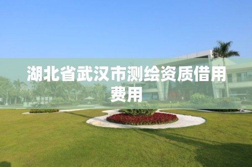 湖北省武汉市测绘资质借用费用