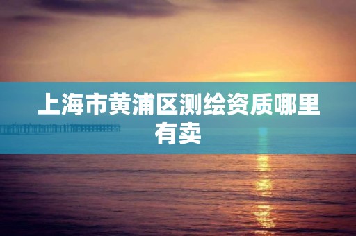 上海市黄浦区测绘资质哪里有卖 上海市黄浦区测绘资质哪里有卖