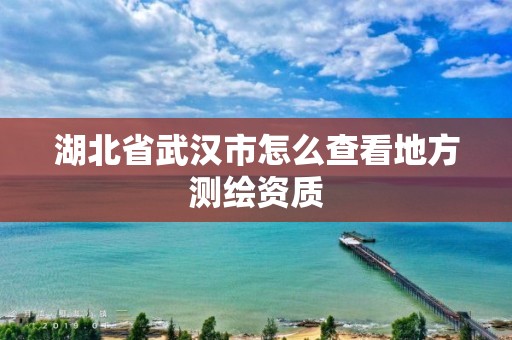湖北省武汉市怎么查看地方测绘资质