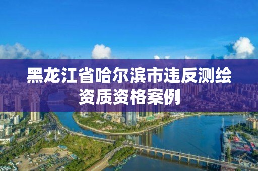 黑龙江省哈尔滨市违反测绘资质资格案例