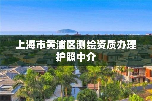 上海市黄浦区测绘资质办理护照中介