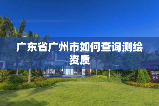 广东省广州市如何查询测绘资质