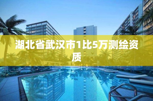 湖北省武汉市1比5万测绘资质