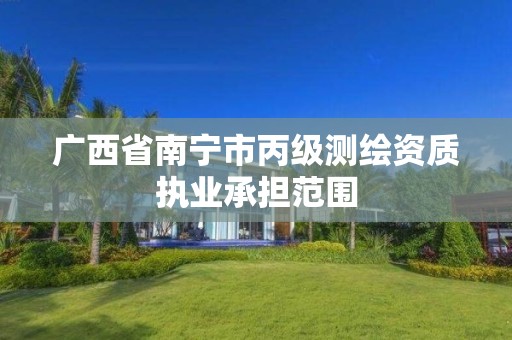 广西省南宁市丙级测绘资质执业承担范围