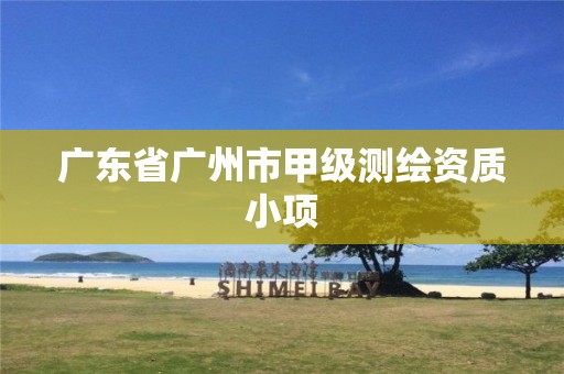 广东省广州市甲级测绘资质小项