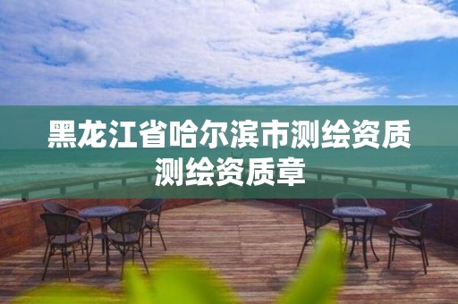 黑龙江省哈尔滨市测绘资质测绘资质章