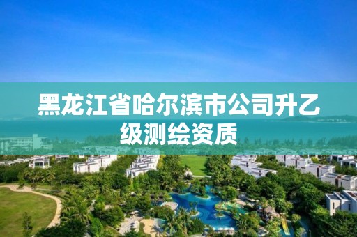 黑龙江省哈尔滨市公司升乙级测绘资质