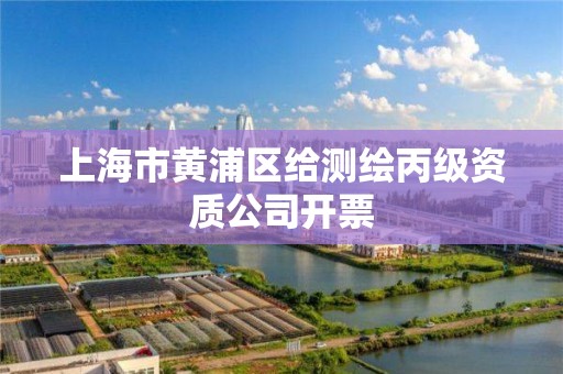 上海市黄浦区给测绘丙级资质公司开票