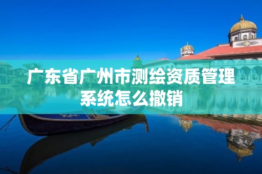 广东省广州市测绘资质管理系统怎么撤销