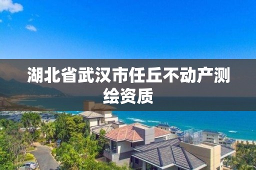 湖北省武汉市任丘不动产测绘资质