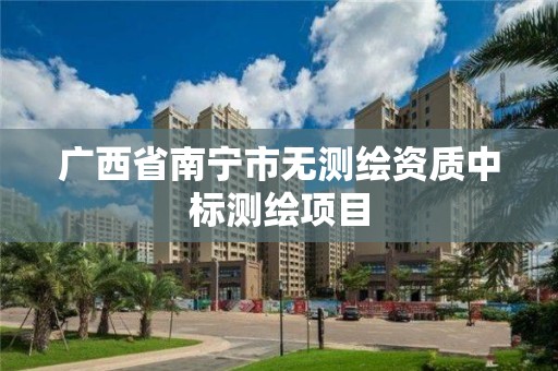 广西省南宁市无测绘资质中标测绘项目