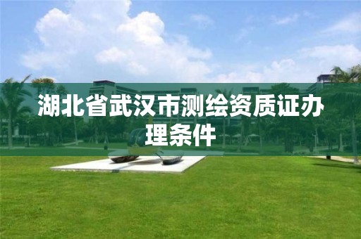 湖北省武汉市测绘资质证办理条件