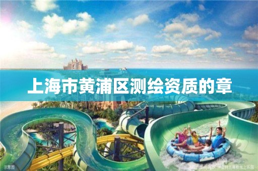 上海市黄浦区测绘资质的章