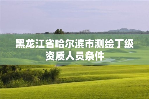 黑龙江省哈尔滨市测绘丁级资质人员条件 黑龙江省哈尔滨市测绘丁级资质人员条件