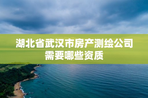 湖北省武汉市房产测绘公司需要哪些资质