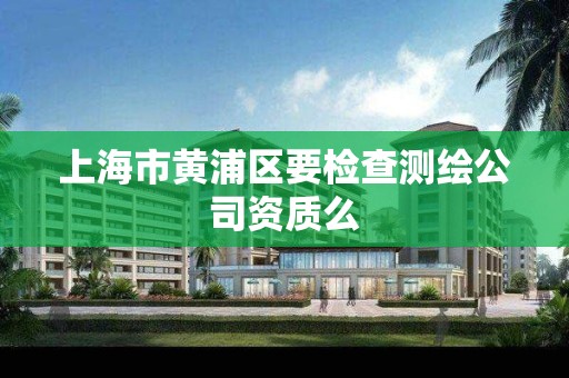上海市黄浦区要检查测绘公司资质么