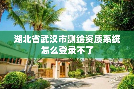 湖北省武汉市测绘资质系统怎么登录不了