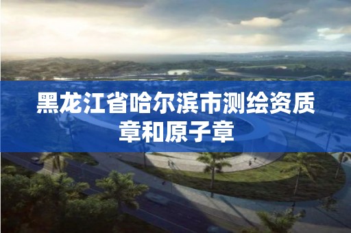 黑龙江省哈尔滨市测绘资质章和原子章