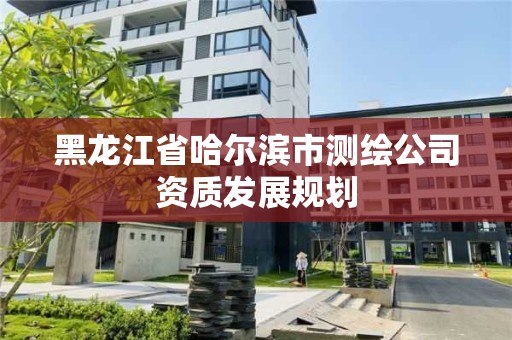 黑龙江省哈尔滨市测绘公司资质发展规划
