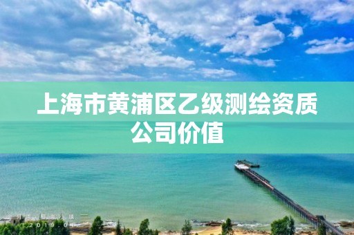 上海市黄浦区乙级测绘资质公司价值