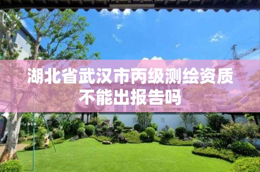 湖北省武汉市丙级测绘资质不能出报告吗