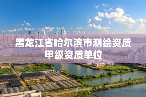 黑龙江省哈尔滨市测绘资质甲级资质单位 黑龙江省哈尔滨市测绘资质甲级资质单位