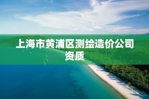 上海市黄浦区测绘造价公司资质