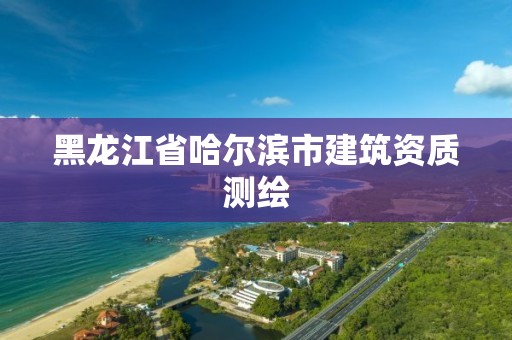 黑龙江省哈尔滨市建筑资质测绘
