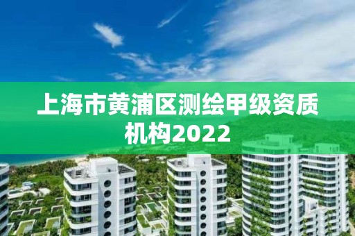 上海市黄浦区测绘甲级资质机构2022
