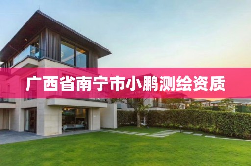 广西省南宁市小鹏测绘资质
