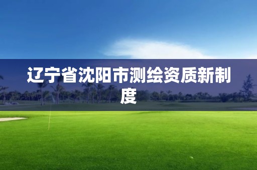 辽宁省沈阳市测绘资质新制度