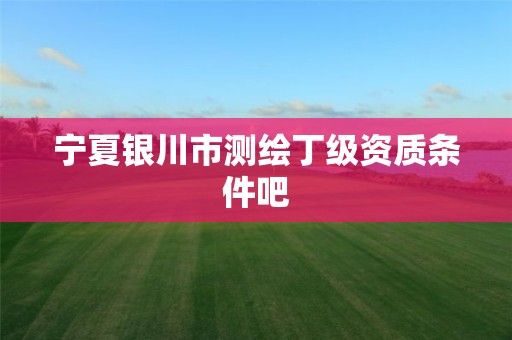 宁夏银川市测绘丁级资质条件吧