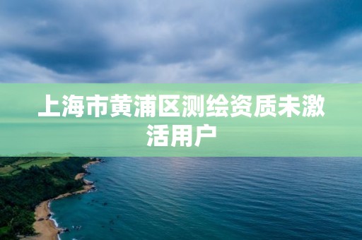 上海市黄浦区测绘资质未激活用户