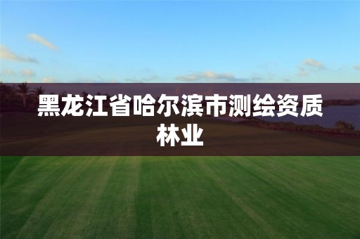 黑龙江省哈尔滨市测绘资质林业 黑龙江省哈尔滨市测绘资质林业
