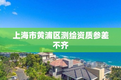 上海市黄浦区测绘资质参差不齐