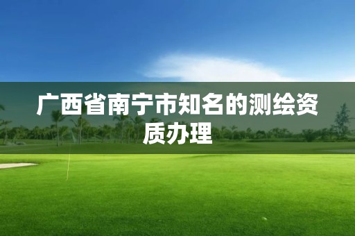 广西省南宁市知名的测绘资质办理 广西省南宁市知名的测绘资质办理