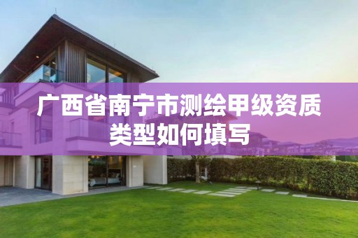 广西省南宁市测绘甲级资质类型如何填写