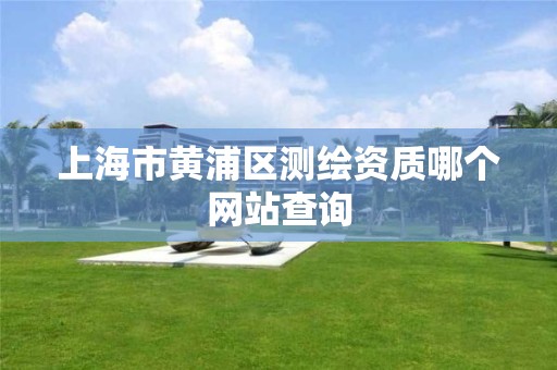 上海市黄浦区测绘资质哪个网站查询 上海市黄浦区测绘资质哪个网站查询