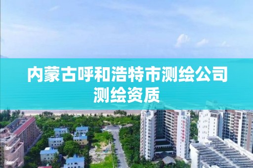 内蒙古呼和浩特市测绘公司测绘资质 内蒙古呼和浩特市测绘公司测绘资质