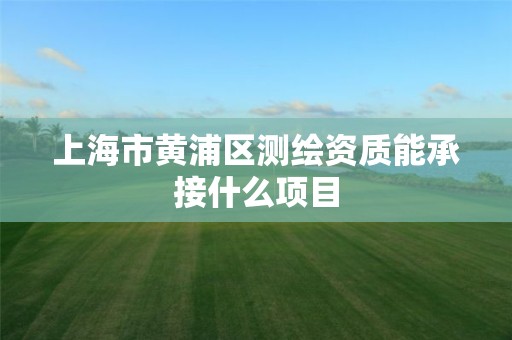 上海市黄浦区测绘资质能承接什么项目