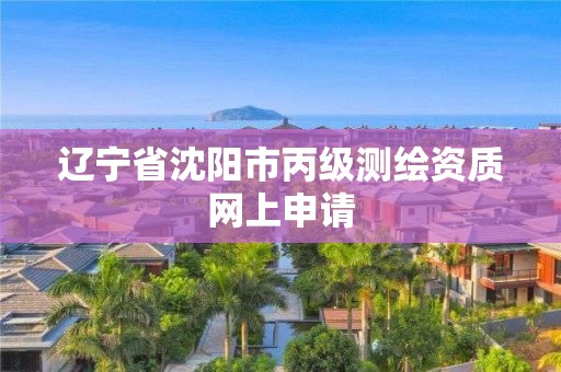 辽宁省沈阳市丙级测绘资质网上申请