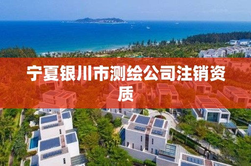 宁夏银川市测绘公司注销资质