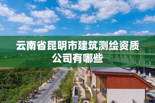 云南省昆明市建筑测绘资质公司有哪些