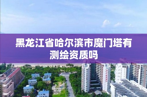 黑龙江省哈尔滨市魔门塔有测绘资质吗