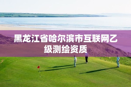 黑龙江省哈尔滨市互联网乙级测绘资质 黑龙江省哈尔滨市互联网乙级测绘资质