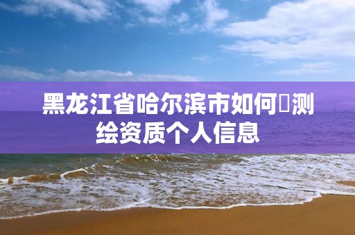 黑龙江省哈尔滨市如何査测绘资质个人信息 黑龙江省哈尔滨市如何査测绘资质个人信息